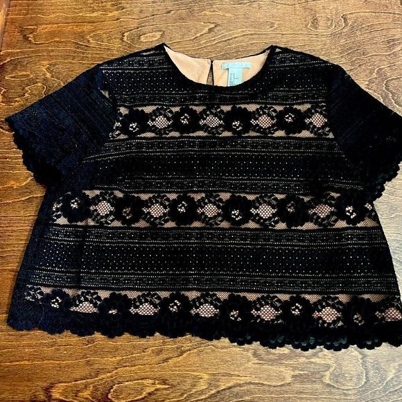 Short lace top with skin tone liner and lace sleeves Sz M from H&M - really cute - Picture 2 of 8